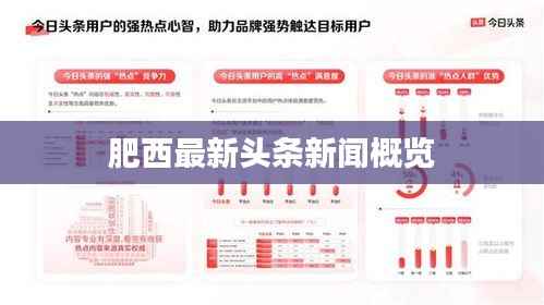 肥西最新头条新闻概览