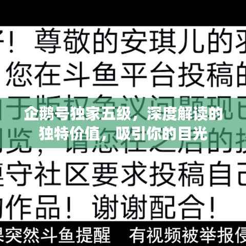 企鹅号独家五级,深度解读的独特价值,吸引你的目光