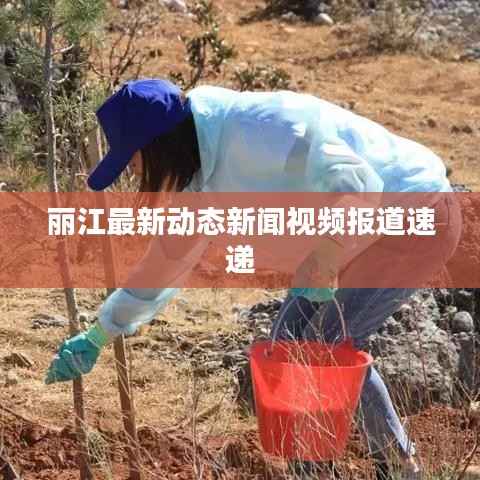 丽江最新动态新闻视频报道速递