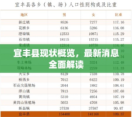 宜丰县现状概览，最新消息全面解读