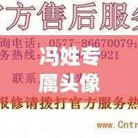 冯姓专属头像2024最新版设计趋势与流行风采