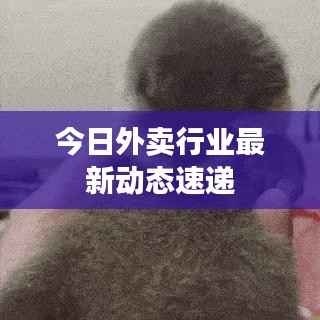 今日外卖行业最新动态速递