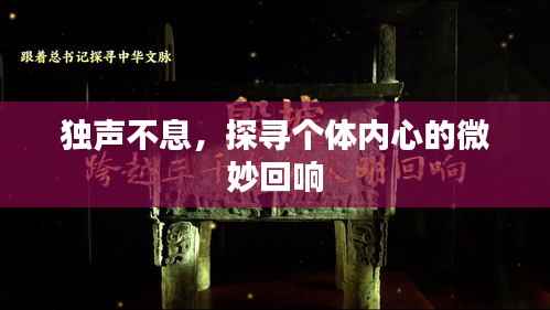 独声不息，探寻个体内心的微妙回响