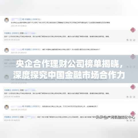 央企合作理财公司榜单揭晓，深度探究中国金融市场合作力量
