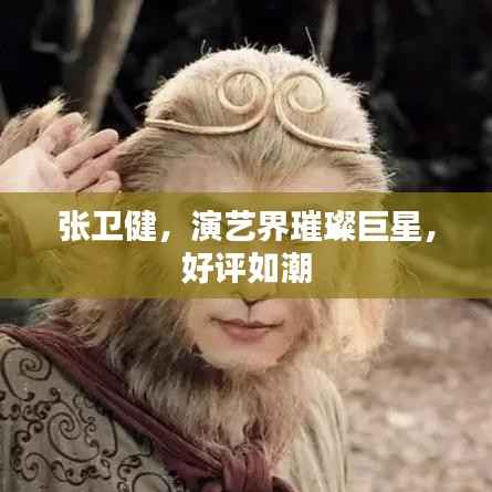 张卫健,演艺界璀璨巨星,好评如潮