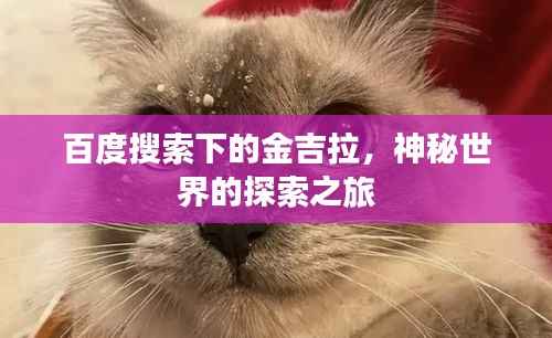 百度搜索下的金吉拉，神秘世界的探索之旅
