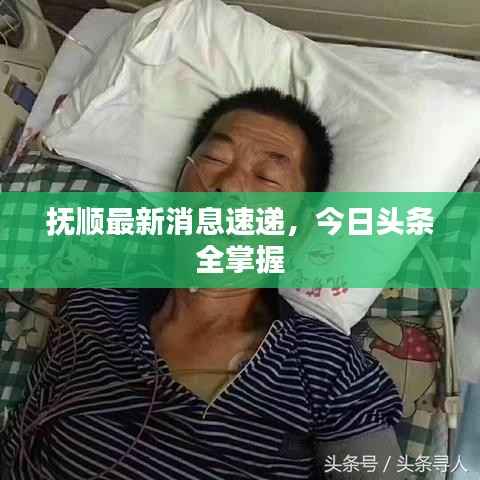 抚顺最新消息速递，今日头条全掌握