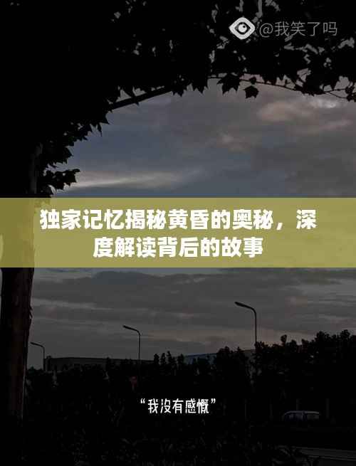 张皇失措 第5页