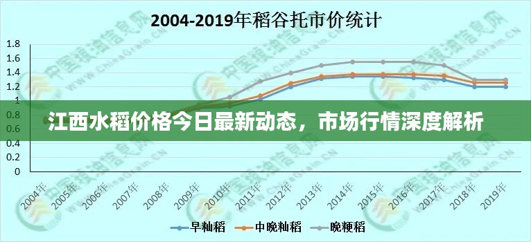 江西水稻价格今日最新动态，市场行情深度解析