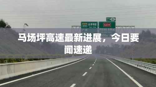 马场坪高速最新进展，今日要闻速递