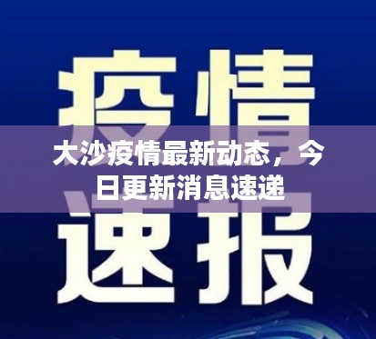 大沙疫情最新动态，今日更新消息速递