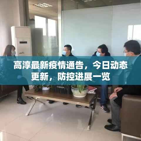 高淳最新疫情通告，今日动态更新，防控进展一览