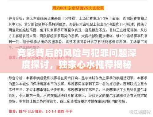 竞彩背后的风险与犯罪问题深度探讨，独家心水推荐揭秘