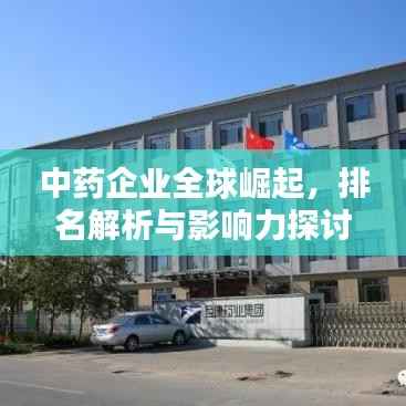 中药企业全球崛起，排名解析与影响力探讨