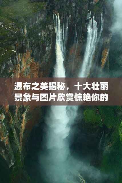 改弦易张 第5页