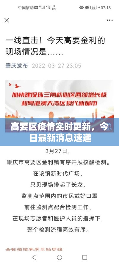 高要区疫情实时更新，今日最新消息速递
