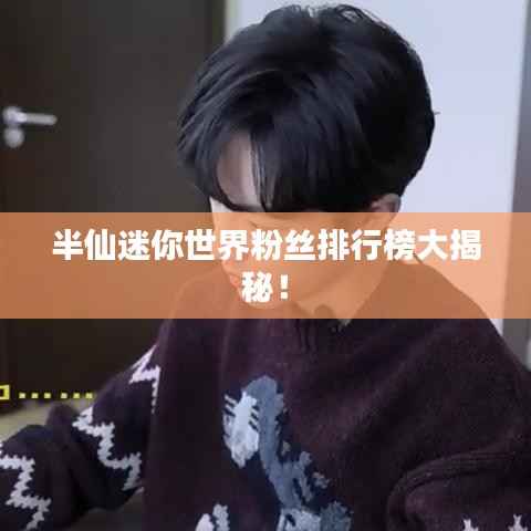 半仙迷你世界粉丝排行榜大揭秘!