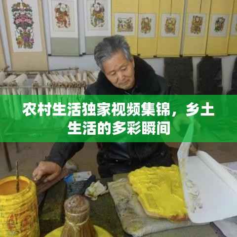农村生活独家视频集锦,乡土生活的多彩瞬间