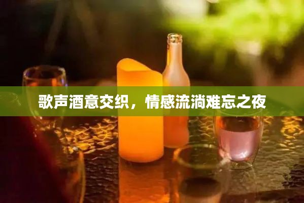 歌声酒意交织,情感流淌难忘之夜