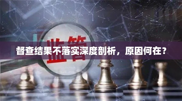 督查结果不落实深度剖析，原因何在？