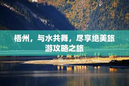 蜎飞蠢动 第4页