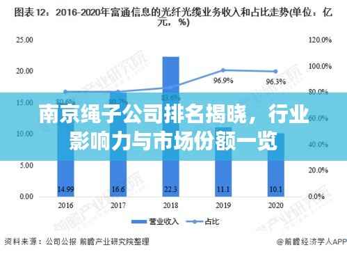 南京绳子公司排名揭晓,行业影响力与市场份额一览