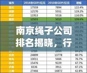 南京绳子公司排名揭晓,行业影响力与市场份额一览