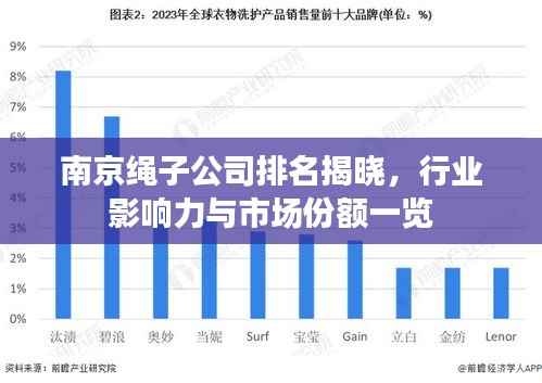 南京绳子公司排名揭晓,行业影响力与市场份额一览
