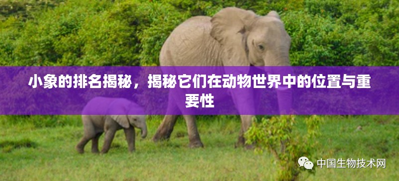 功成名就 第5页