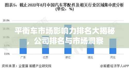 平衡车市场影响力排名大揭秘,公司排名与市场洞察