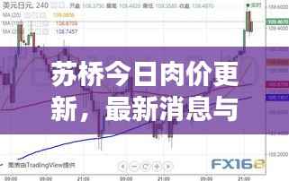 苏桥今日肉价更新，最新消息与市场走势分析