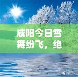 咸阳今日雪舞纷飞，绝美冬日雪景视频欣赏
