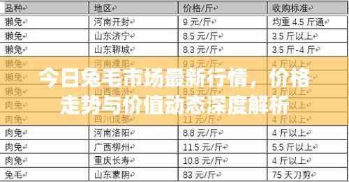 今日兔毛市场最新行情,价格走势与价值动态深度解析