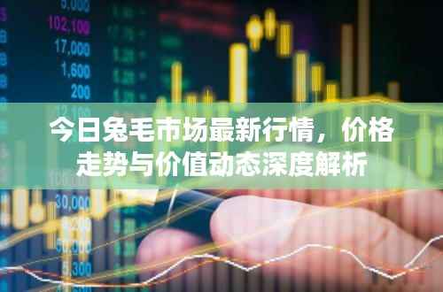 今日兔毛市场最新行情,价格走势与价值动态深度解析