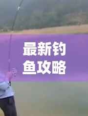 最新钓鱼攻略视频汇总，钓鱼爱好者必看的福音指南