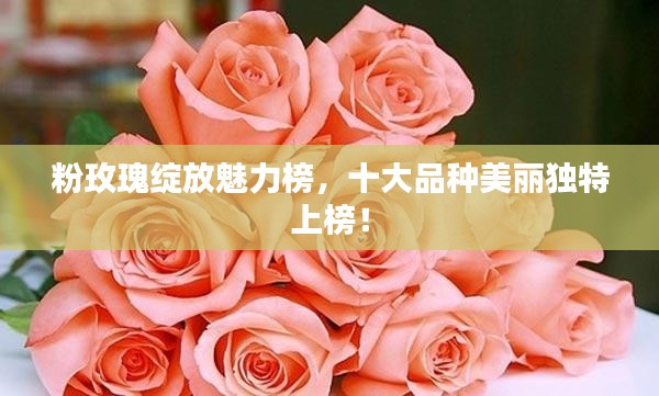 百鸟齐鸣 第4页