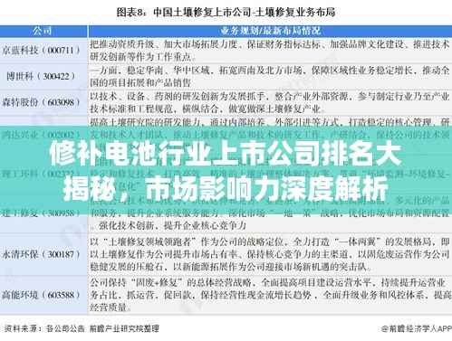 修补电池行业上市公司排名大揭秘，市场影响力深度解析