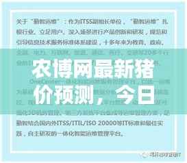 农博网最新猪价预测，今日走势分析，掌握最新动态！