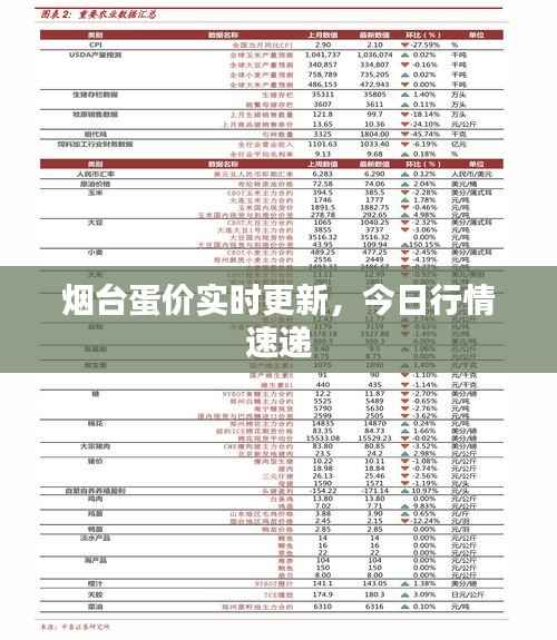 烟台蛋价实时更新，今日行情速递