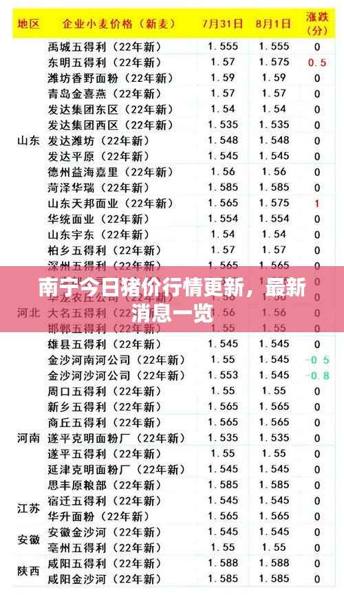 南宁今日猪价行情更新，最新消息一览