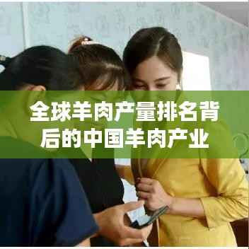 全球羊肉产量排名背后的中国羊肉产业地位揭秘