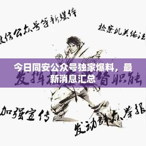 今日同安公众号独家爆料，最新消息汇总
