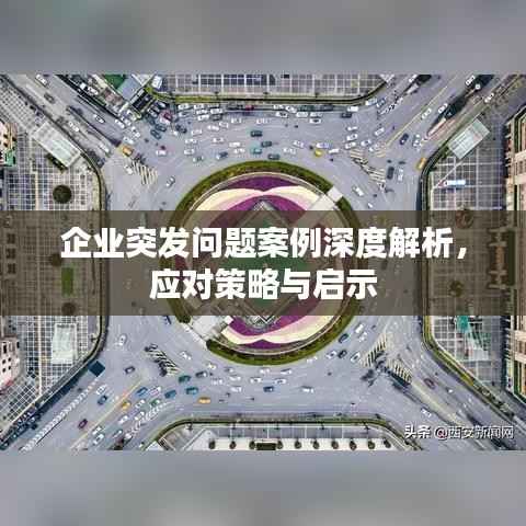 企业突发问题案例深度解析，应对策略与启示