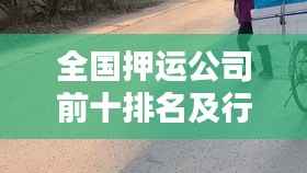 全国押运公司前十排名及行业影响力解析，揭秘押运行业的领导者