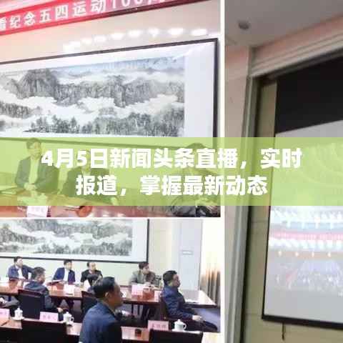 4月5日新闻头条直播，实时报道，掌握最新动态