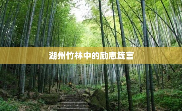 湖州竹林中的励志箴言