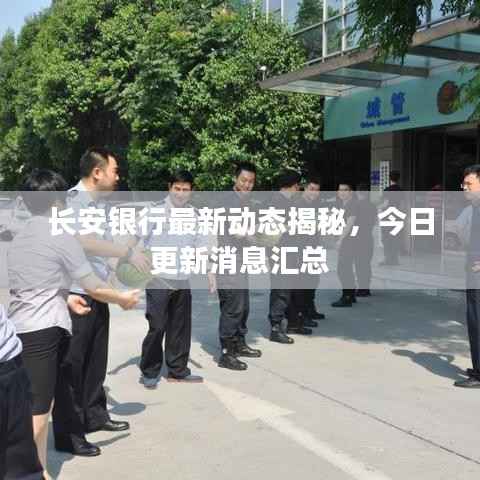 长安银行最新动态揭秘，今日更新消息汇总