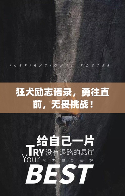 指李推张 第4页