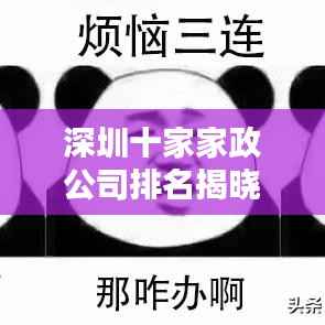 深圳十家家政公司排名揭晓,行业影响力不容小觑