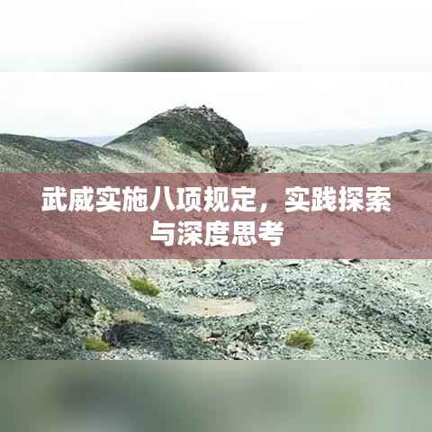 武威实施八项规定，实践探索与深度思考